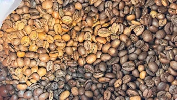 قهوه اسپرسو فول کرم فراجهان ۱۵ کیلویی